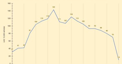 Vehicle import volume into China from 2007 to March 2025
